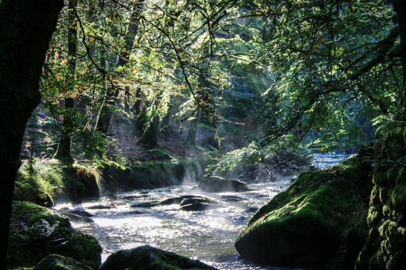 Le Chant Des Sources, Gites Et Chambres D'Hotes Avec Vue A Gimel-Les-Cascades Extérieur photo