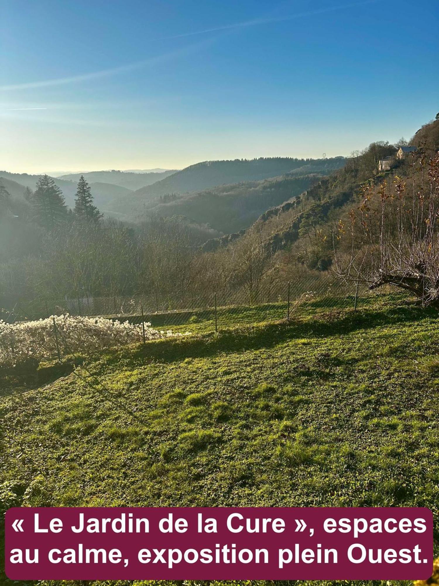 Le Chant Des Sources, Gites Et Chambres D'Hotes Avec Vue A Gimel-Les-Cascades Extérieur photo